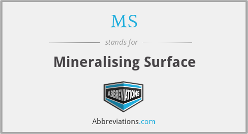 MS - Mineralising Surface