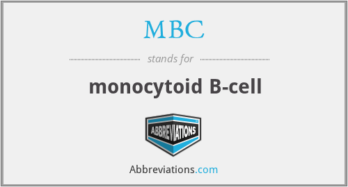 MBC - monocytoid B-cell
