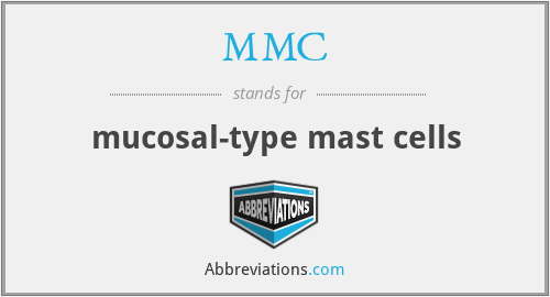 MMC - mucosal-type mast cells