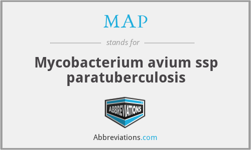 MAP - Mycobacterium avium ssp paratuberculosis