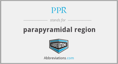 PPR - parapyramidal region