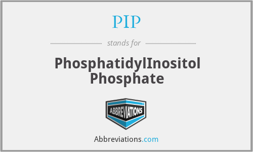 PIP - PhosphatidylInositol Phosphate