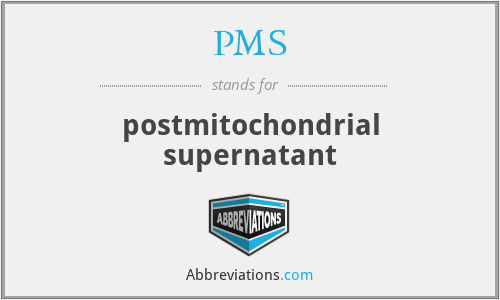 PMS - postmitochondrial supernatant