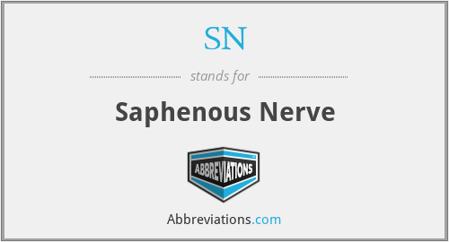 SN - Saphenous Nerve