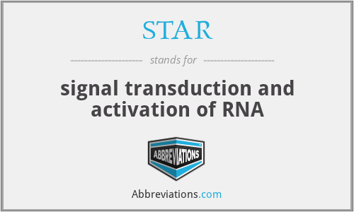 STAR - signal transduction and activation of RNA
