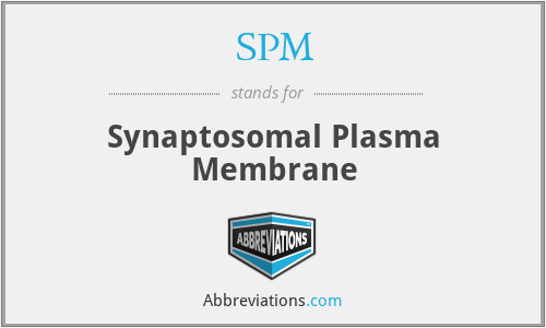 SPM - Synaptosomal Plasma Membrane