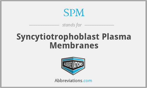 SPM - Syncytiotrophoblast Plasma Membranes