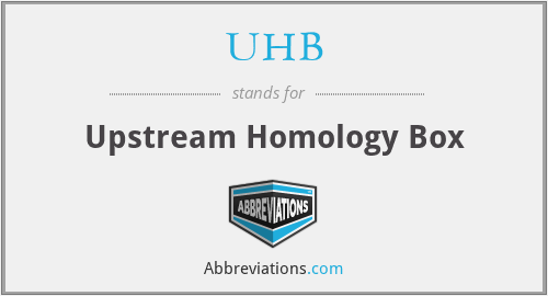 UHB - Upstream Homology Box