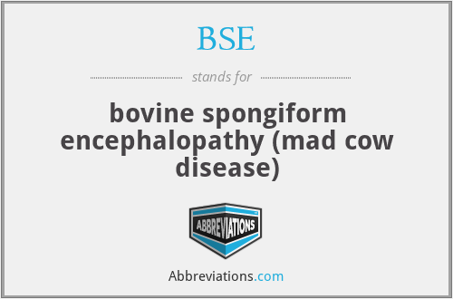 BSE - bovine spongiform encephalopathy (mad cow disease)