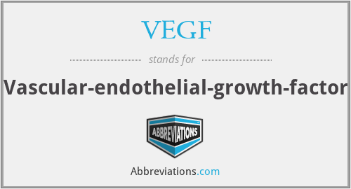 VEGF - Vascular-endothelial-growth-factor