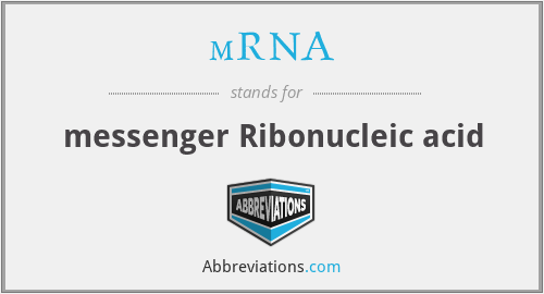 mRNA - messenger Ribonucleic acid
