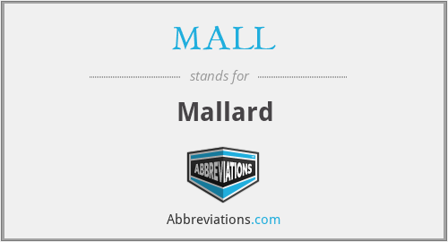 MALL - Mallard