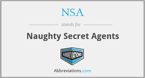 NSA - Naughty Secret Agents