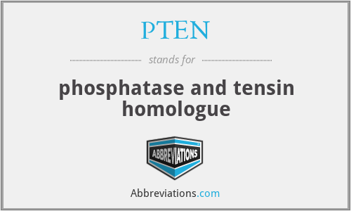 PTEN - phosphatase and tensin homologue