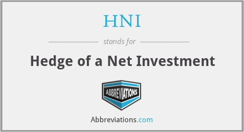 HNI - Hedge of a Net Investment