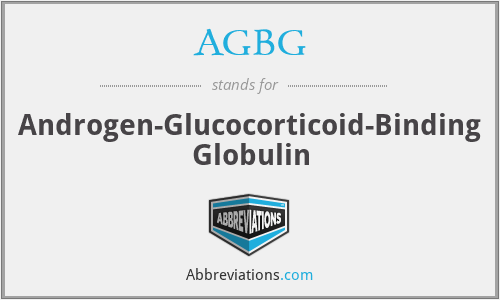 AGBG - Androgen-Glucocorticoid-Binding Globulin
