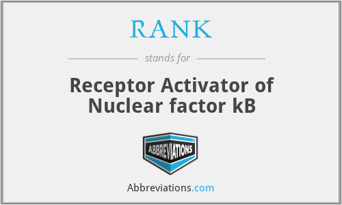 RANK - Receptor Activator of Nuclear factor kB