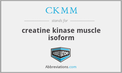 CKMM - creatine kinase muscle isoform