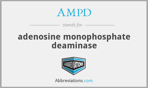 AMPD - adenosine monophosphate deaminase