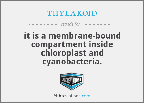 thylakoid - it is a membrane-bound compartment inside chloroplast and cyanobacteria.