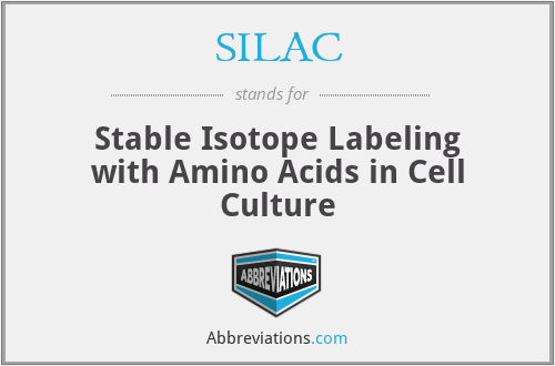 SILAC - Stable Isotope Labeling with Amino Acids in Cell Culture