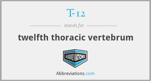 T-12 - twelfth thoracic vertebrum