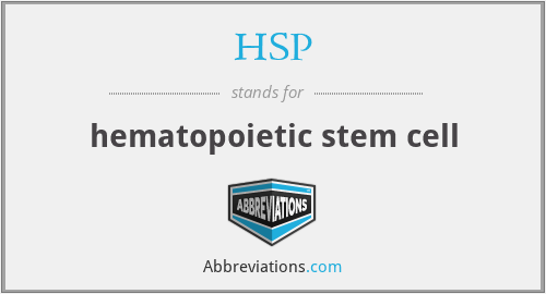 HSP - hematopoietic stem cell