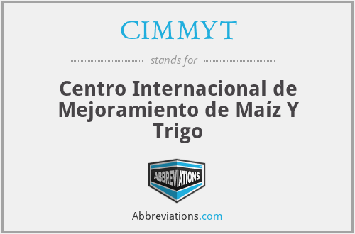 CIMMYT - Centro Internacional de Mejoramiento de Maíz Y Trigo