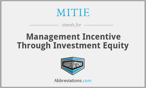 MITIE - Management Incentive Through Investment Equity