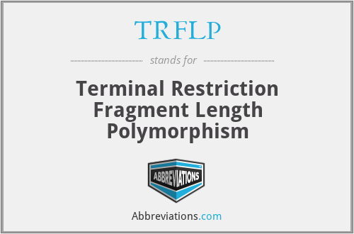 TRFLP - Terminal Restriction Fragment Length Polymorphism