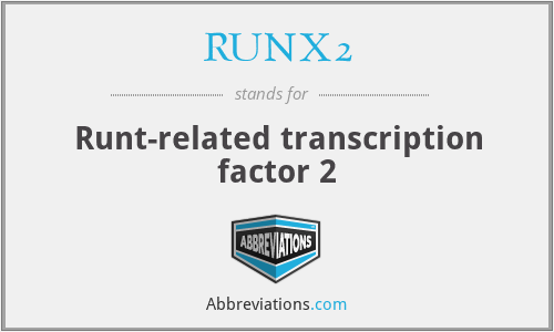 RUNX2 - Runt-related transcription factor 2