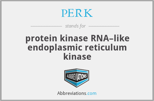PERK - protein kinase RNA–like endoplasmic reticulum kinase
