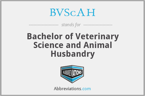 BVScAH - Bachelor of Veterinary Science and Animal Husbandry