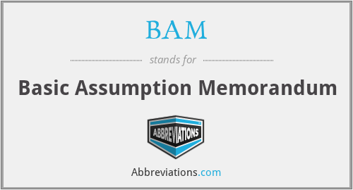 BAM - Basic Assumption Memorandum