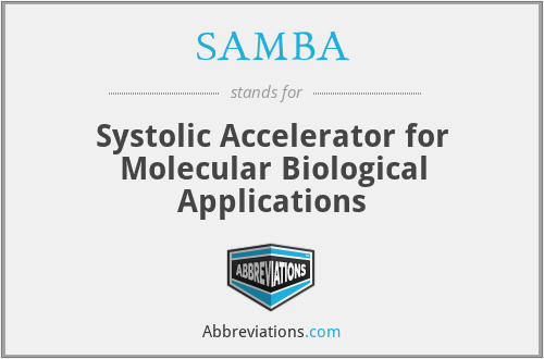 SAMBA - Systolic Accelerator for Molecular Biological Applications