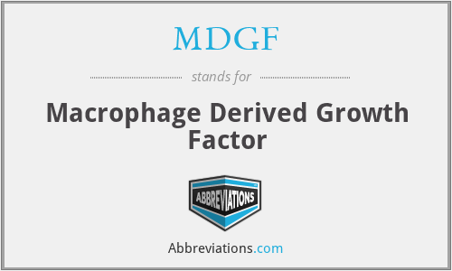 MDGF - Macrophage Derived Growth Factor