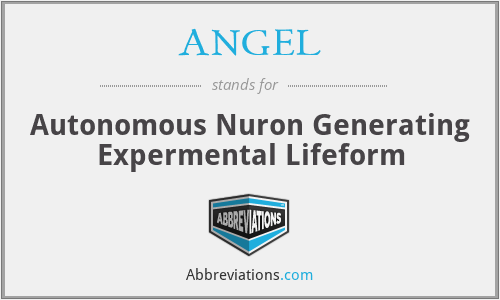 ANGEL - Autonomous Nuron Generating Expermental Lifeform