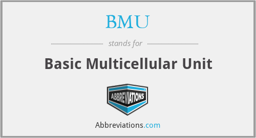 BMU - Basic Multicellular Unit