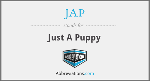 JAP - Just A Puppy