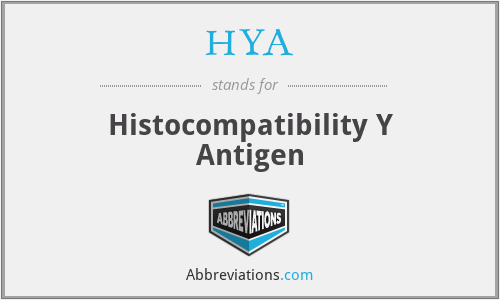 HYA - Histocompatibility Y Antigen