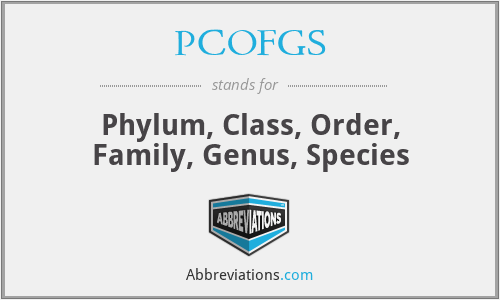 PCOFGS - Phylum, Class, Order, Family, Genus, Species