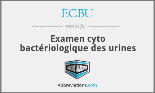 ECBU - Examen cyto bactériologique des urines