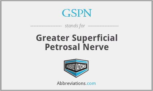 GSPN - Greater Superficial Petrosal Nerve