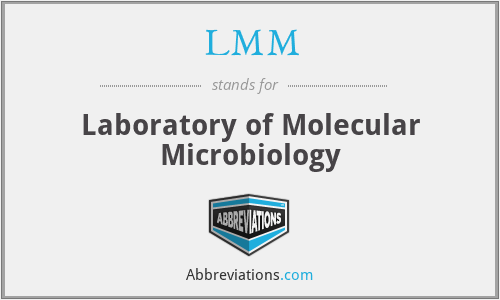 LMM - Laboratory of Molecular Microbiology