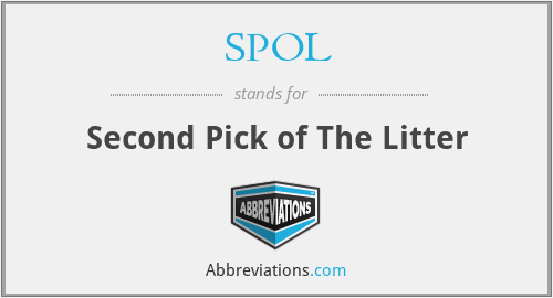SPOL - Second Pick of The Litter
