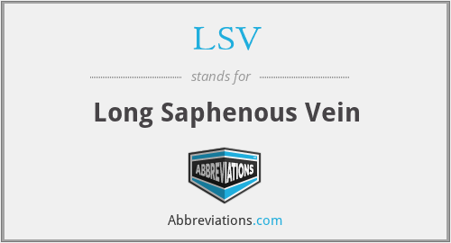 LSV - Long Saphenous Vein
