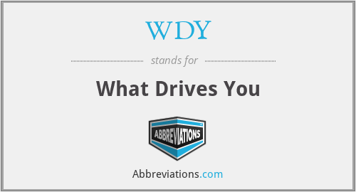 WDY - What Drives You
