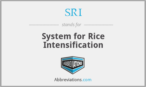 SRI - System for Rice Intensification