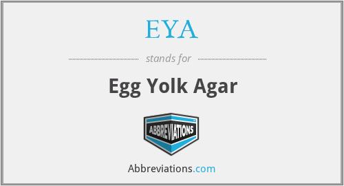 EYA - Egg Yolk Agar