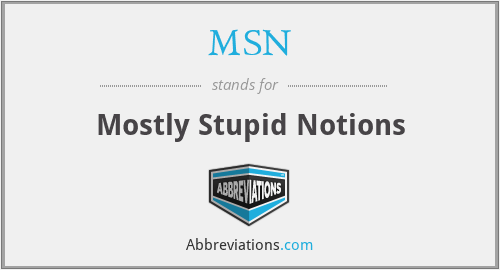 MSN - Mostly Stupid Notions